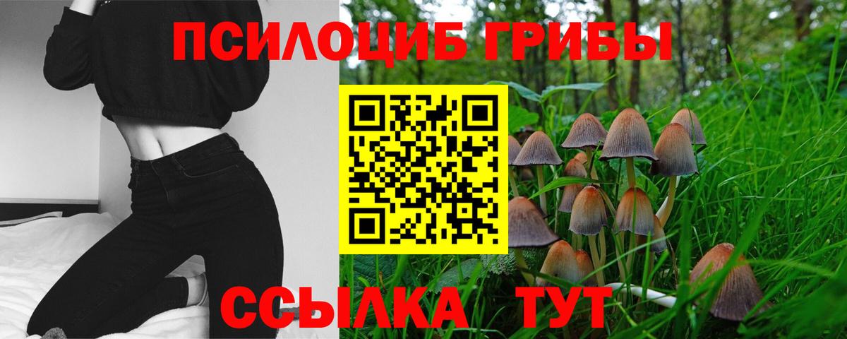 Галлюциногенные грибы мицелий  Галлюциногенные грибы ЛСД  Мценск  Вход с VPN 