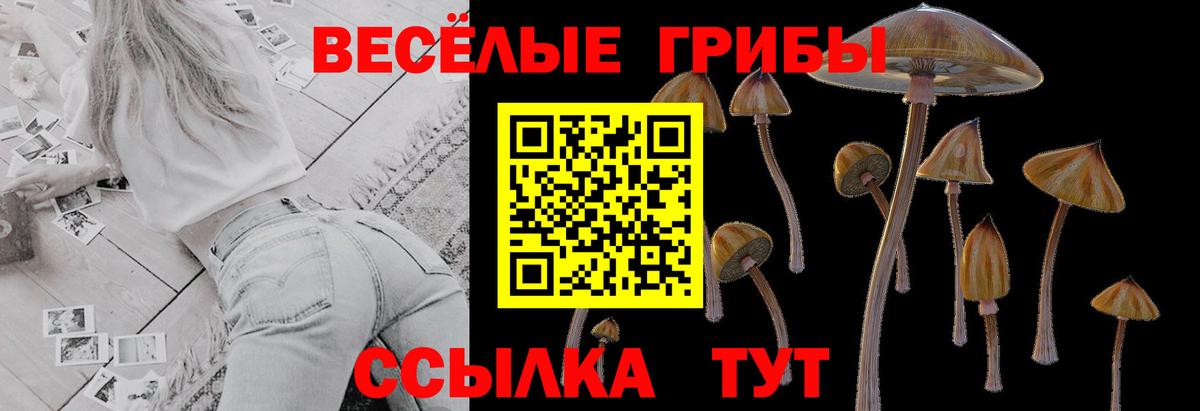 Псилоцибиновые грибы Magic Shrooms Мценск